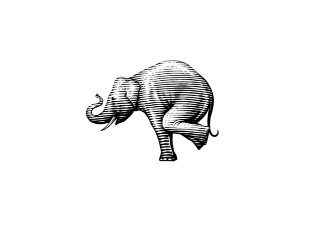 balancing elephant